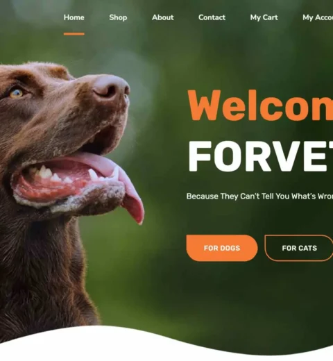 Marketing-Berater in Deutschland – Strategien für nachhaltigen Unternehmenserfolg