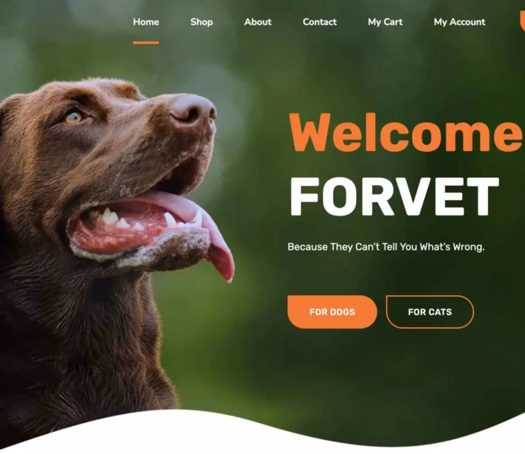 Webdesigner & WordPress-Experte in Deutschland – Professionelle Websites, die überzeugen